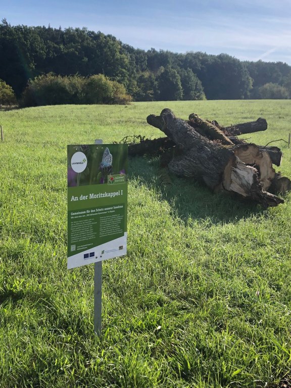 Blühpakt Bayern - An der Moritzkappel