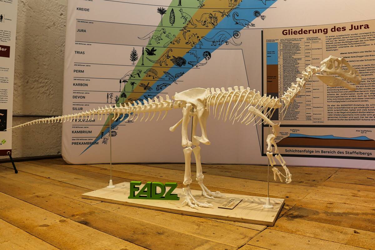 Der Allosaurus im Oberen Torturm